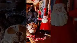 Keep holidays weird! (And yes, Santa is a primate.) 💀🎅🏻 #shorts