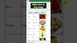 Lock image with cell in excel 