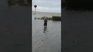 "Hurricane" Idalia STORM SURGE  Tampa FL