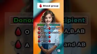Blood Group #improveenglish #englishlanguage #basictoadvancespokenenglishcourse