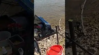 рыбалка рыбалочка. ждём леща