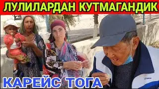 ЛУЛИЛАР ХАМ КАРАБ ТУРИШМАДИ  КАРЕЙС ТОГА (ОХУНОВ ТВ)