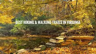 Best Hiking and Walking Trails in Virginia (with scenic views)