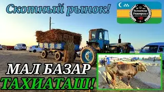 МАЛ БАЗАР/СКОТНЫЙ РЫНОК 