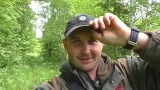 Волшебная деревня на краю поля. В поисках золота.