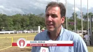 Medidas Anti Doping no Mangalarga Marchador