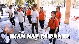 IKAN NAE DI PANTE - Juara Satu Lomba Line Dance Dalam Rangka HUT RI ke 79  POLITEKNIK NEGERI KUPANG