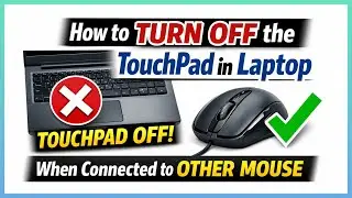 How to Turn OFF TouchPad in Laptop When Using External Mouse