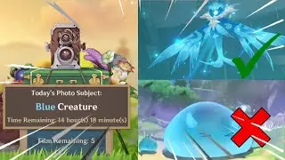 Blue Creature? | Genshin Impact Event