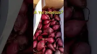 🤔ЭТИ ПРИМЕТЫ,РАБОТАЮТ ВСЕГДА ☝️🧐