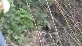 Weird Stuff Found In Woods