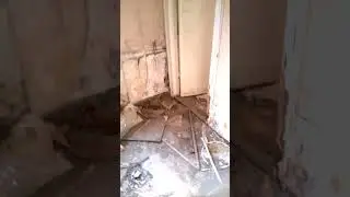 Дом по ул.Ленинградская 72