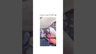 #meme