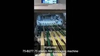 Waldyssa 75-B277.75 stretch film packaging machine stainless steel