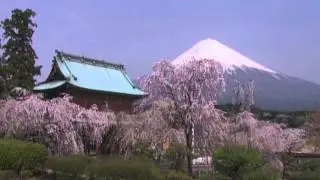 古今和歌集 / The Kokinshû. Spring Poems. Part I, 68 / Весенние песни. Сувий 1 (KKS I, 68)
