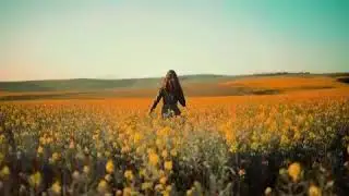 Песня про Алмалык