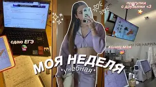 моя УЧЕБНАЯ НЕДЕЛЯ 📑 | сдача ЕГЭ | много учебы | концерт с бэндом