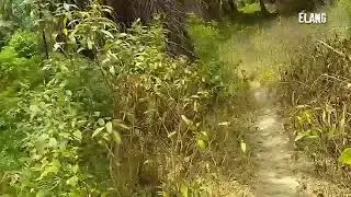 Wik Wik Terekam
