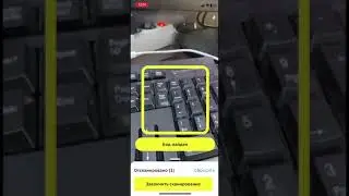 WhatsApp Video 2024 04 05 at 9 56 12 AM