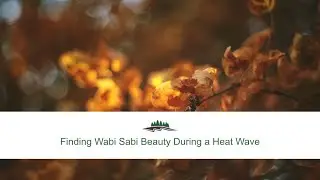 Finding Wabi Sabi Beauty During a Heat Wave