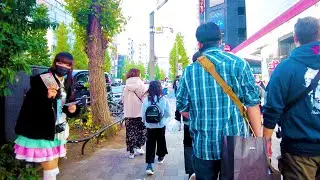 💖Akihabara Walk in Tokyo 💖👯‍♀️🍹🎀 Maid Cafe Paradise ♪ 🍰🥤🐶📺 4K ASMR Nonstop 1 hour 03 minutes ⌚
