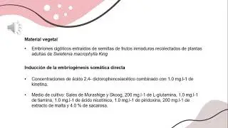 CULTIVO IN VITRO VEGETAL - EXPOSICIÓN DE ARTICULO - EMBRIOGENESIS SOMATICA DIRECTA