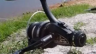 IKAN MENYENTUH PELAMPUNG..SENYUM HINGGA KE TELINGA