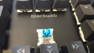 BlackWeb Mechanical Keyboard Typing Sound (Outemu Blue Switch)