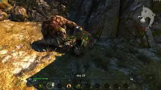 Лучник. Kingdoms of Amalur Re-Reckoning