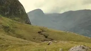 Lassie(2005) részlet, magyarul
