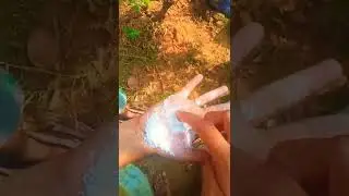 fevicol and salt experiment. easy expirement #shorts#youtube_shorts #e_bull_jet