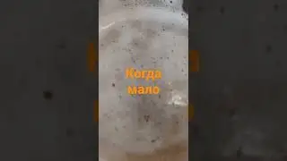 люблю пиво