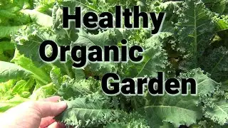 Do This For The Best Results in Your Garden