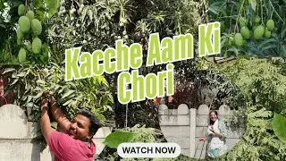 Kacha Aam 🥭 Toda | Building ke piche Se Chori Chhipe Aam Toda | आम तोड़ा | Shabila Vlogs official 