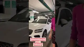Дженезис послал Лису. 