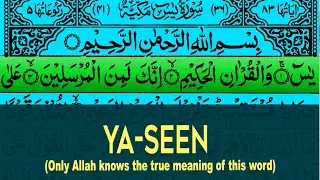 Surah Yasin Full | All-Time Best Recitation With Text (HD)