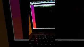 Enable root log in in ssh. 