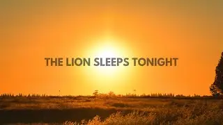 The Lion Sleeps Tonight - Elin Hellström (feat. INTIM)