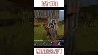 Day 01 in #minecraft #minecraftshorts #mineceaftsurvivalguide #buildings #shorts