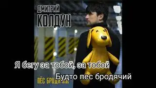Караоке | Дмитрий Колдун – Пёс бродячий