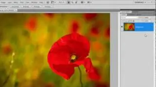 Shadows & Borders in Photoshop - Quick Shots 03