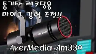 통기타, 보컬 레코딩, 스트리밍까지 다 되는 전천후 마이크 추천!! [AverMedia AM330]