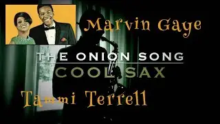 The Onion Song | SAX COVER | Marvin Gaye & Tammi Terrell