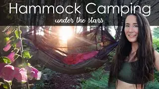 A Beautiful Summer Hammock Camp