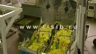 Фасовка картофельных чипсов на упаковочном автомате МАКИЗ 55.22