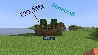 || How To Cure Villager In Minecraft? ||