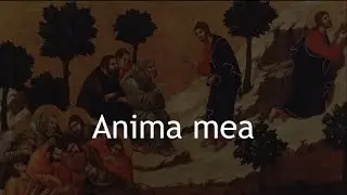 Anima Mea - Martín de Rivaflecha || Song & Lyrics