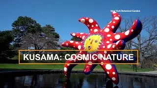Yayoi Kusama  - Cosmic Nature at New York Botanical Garden