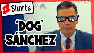 PEDRO SÁNCHEZ | Declaración institucional (Parodia 😝) - Doblaje de Humor