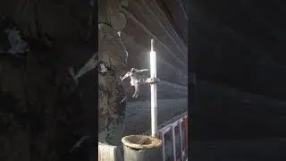 ДЯТЕЛ ЗВОНОК